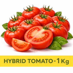 Hybrid Tomato - 1Kg